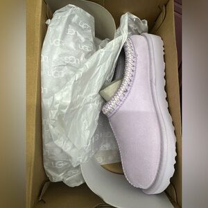 Lavender Ugg Tasman Slippers